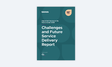 DSS Challenges and Future Service Delivery 2025 Article Thumbnail