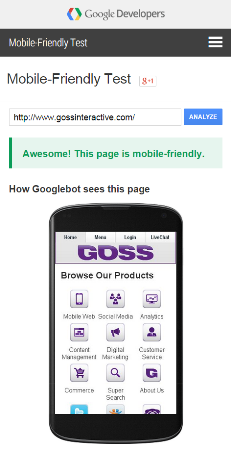 Google Mobile Friendly Test GOSS
